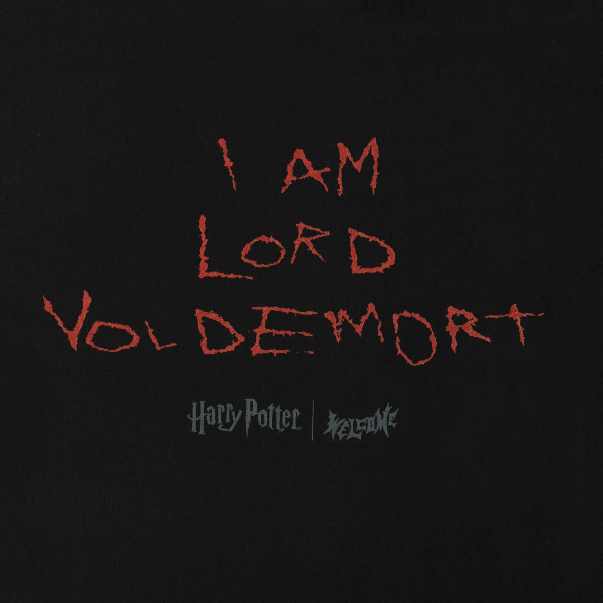 HARRY POTTER X WELCOME Voldemort Boxy Garment Dyed Tee - Image 4