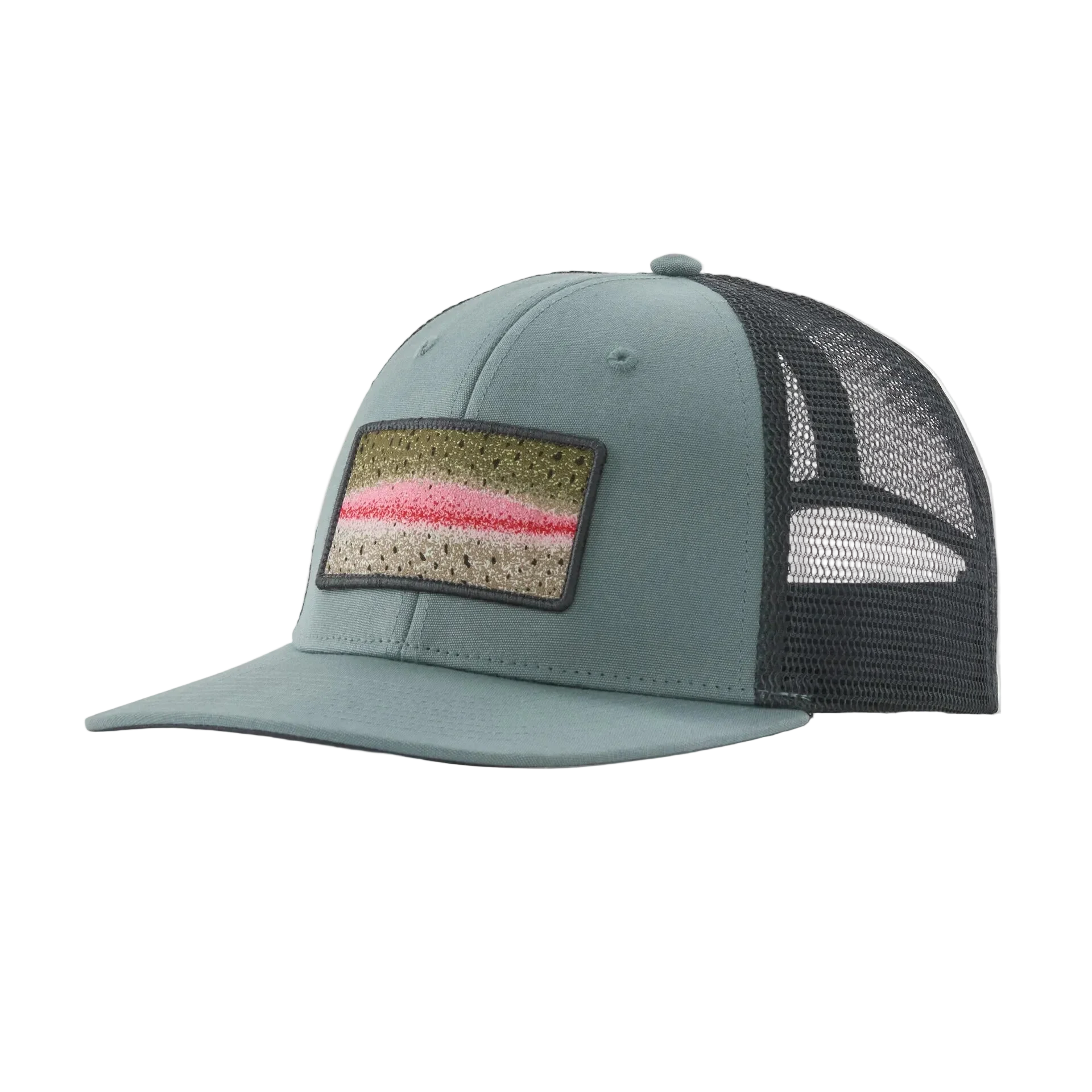 Patagonia Take a Stand Trucker Hat Rainbow Run/Blue Sage